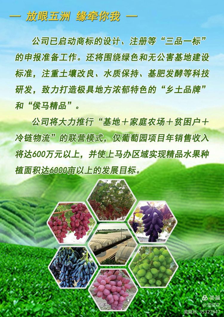 1607417283.jpg 9ba8763cc87072b4044784f87023a0a5.jpg