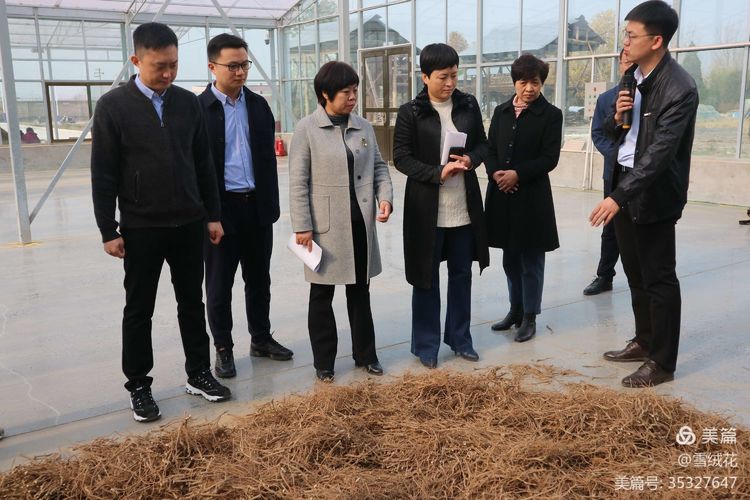 1607417628.jpg 9cf53f9b942f138c259308018d783832.jpg