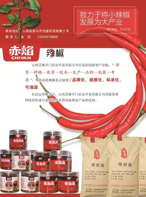 小辣椒  大产业