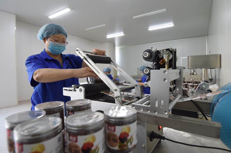 创新思路求发展 带领农户奔小康